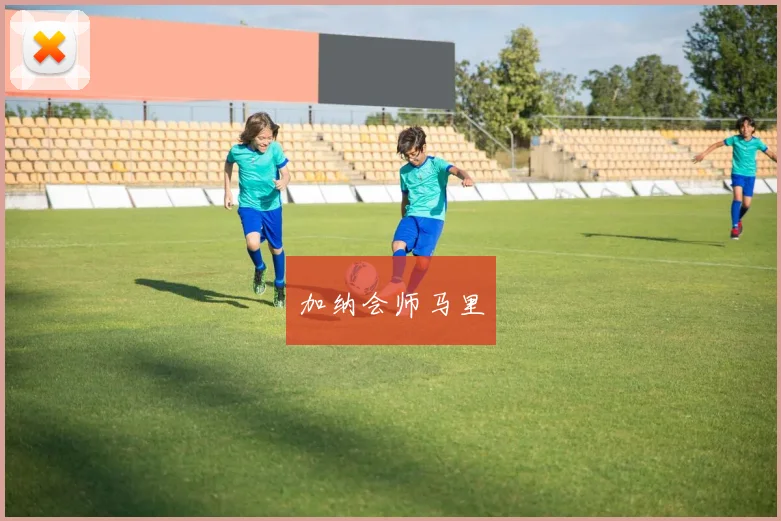 加纳会师马里