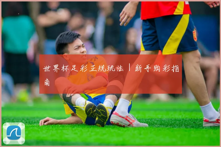 世界杯足彩正规玩法｜新手购彩指南