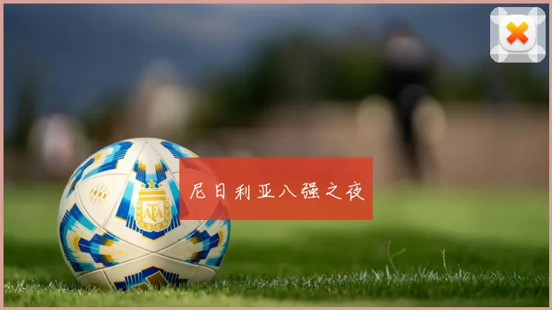 尼日利亚八强之夜