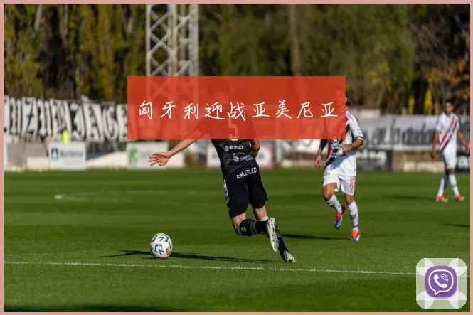 匈牙利迎战亚美尼亚