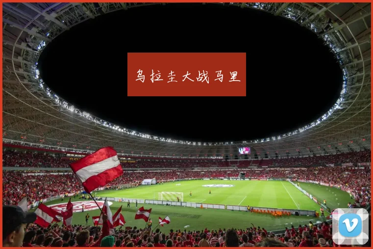 乌拉圭大战马里