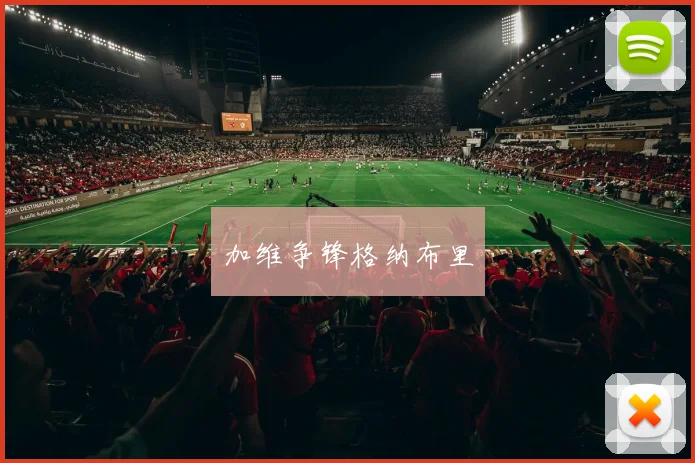 加维争锋格纳布里